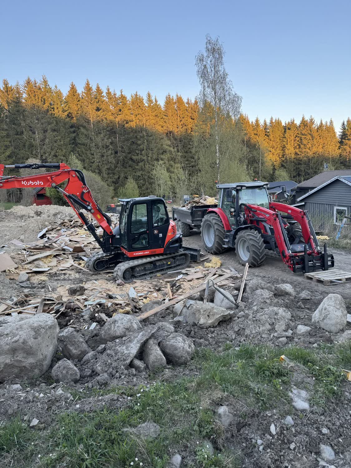 Masseflytting om høsten